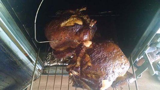 Chicken 1.jpg