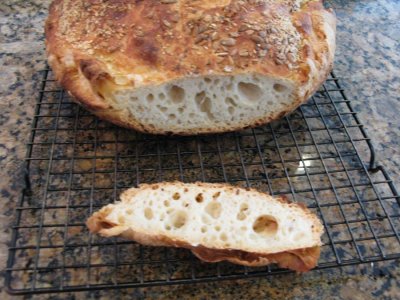 No Need Bread Photo.JPG