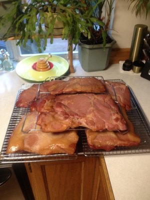 IMG_0543 (480x640).jpg