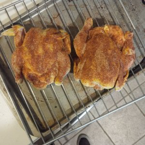 hens1.jpg