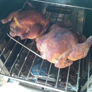 hens3.jpg