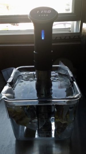 20170513_170332.jpg