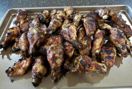 wings1.jpg