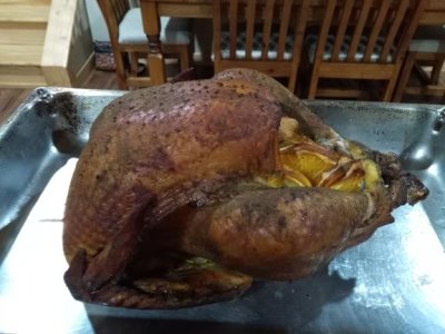 turkey out.jpg