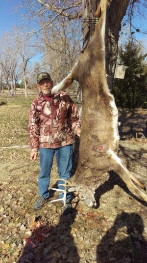 KS deer 18.jpg