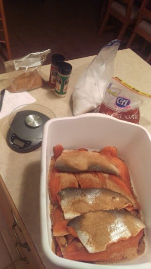 in brine.jpg