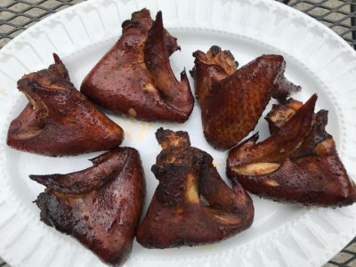 Wings no peak.jpg