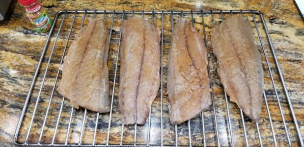 BrinedBluefish8-2-2019.jpg