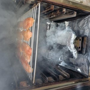 smoking-trout (1512 x 1512).jpg