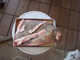 IMG_0577.jpeg