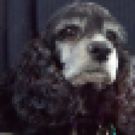 TARDISgirl